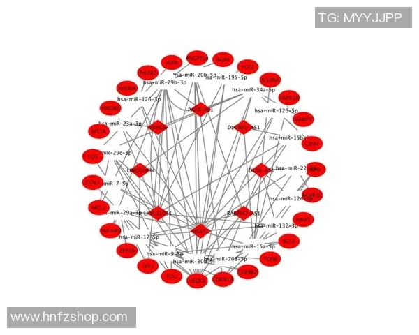 西安排球队配合表现的数据分析与战术优化研究